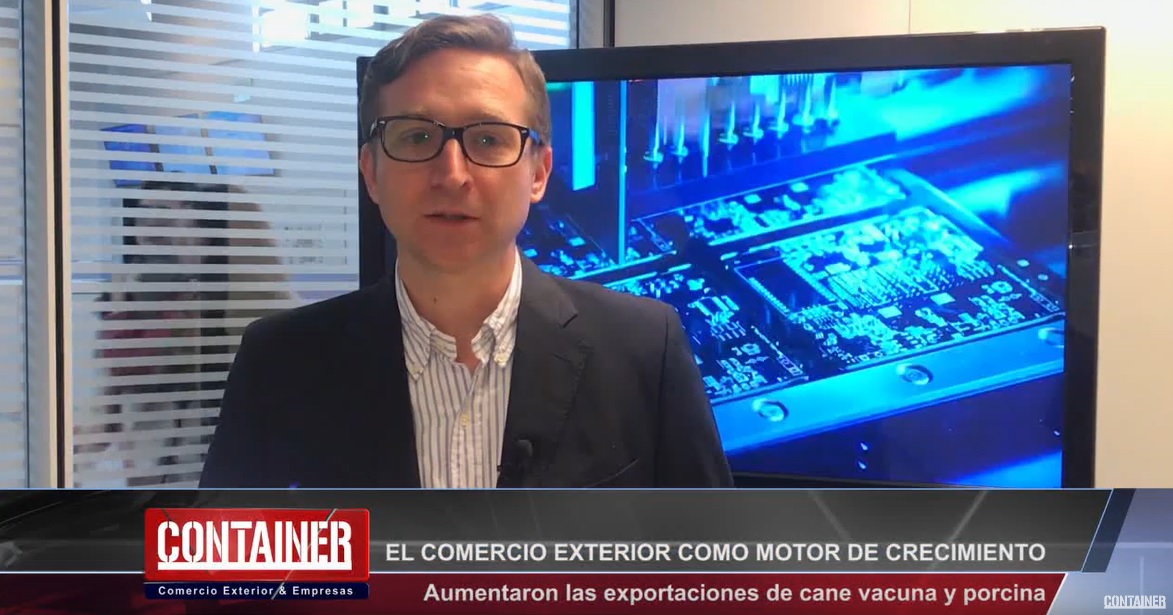 OCDE: las exportaciones serán el motor de crecimiento de Argentina